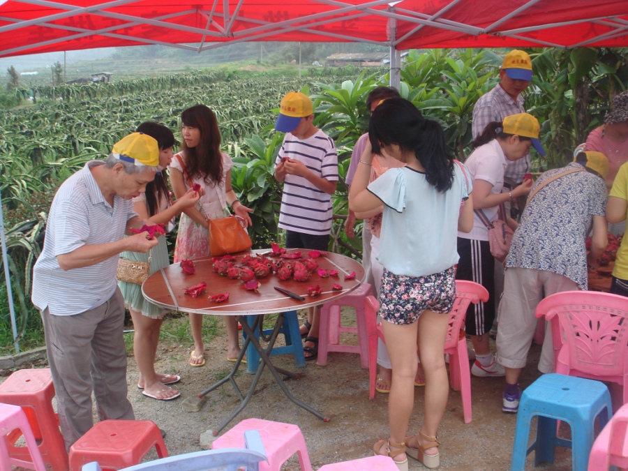 火龍果,能者橡膠,<a title='鼠標墊廠家' target='_blank' href='http://m.nmbc.com.cn/' class='seolabel'>鼠標墊廠家</a>