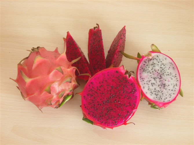 火龍果,能者橡膠,<a title='鼠標墊廠家' target='_blank' href='http://m.nmbc.com.cn/' class='seolabel'>鼠標墊廠家</a>