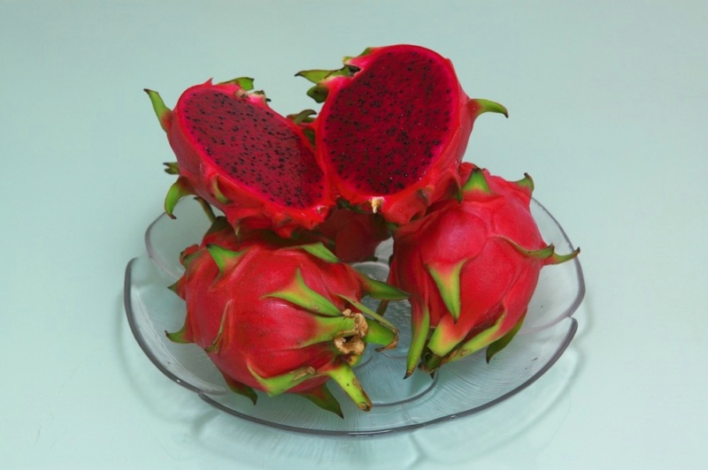 火龍果,能者橡膠,<a title='鼠標墊廠家' target='_blank' href='http://m.nmbc.com.cn/' class='seolabel'>鼠標墊廠家</a>