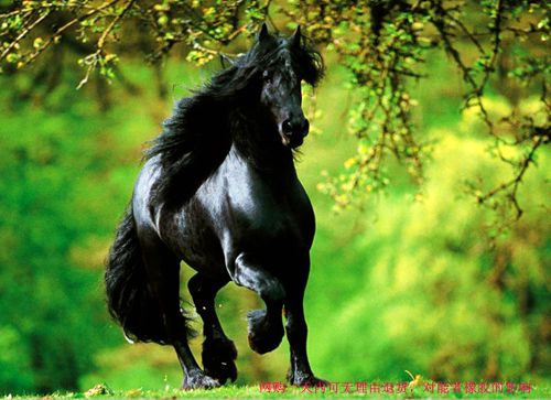 網購一天內可無理由退貨，對<a title='鼠標墊定做' target='_blank' href='http://m.nmbc.com.cn/' class='seolabel'>鼠標墊定做</a>的影響