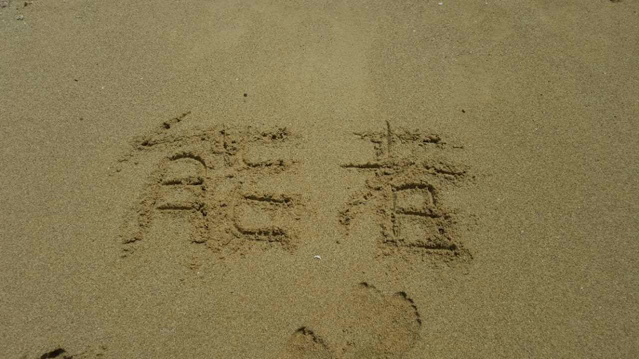 能者橡膠精英之旅